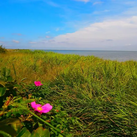 Casa vacanze Vivan - 3-8km From The Sea By Interhome *