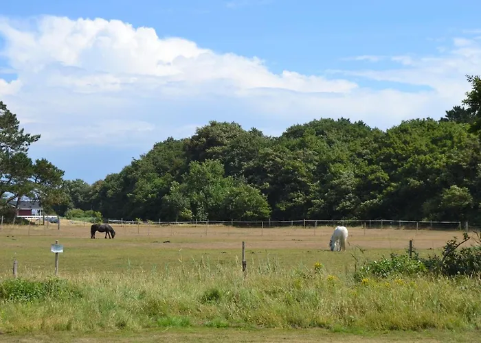 Vivan - 3-8km From The Sea By Interhome * Tagholm