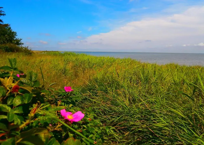 Сasa de vacaciones Vivan - 3-8km From The Sea By Interhome *